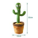 cactus bailarin canta e imita la voz