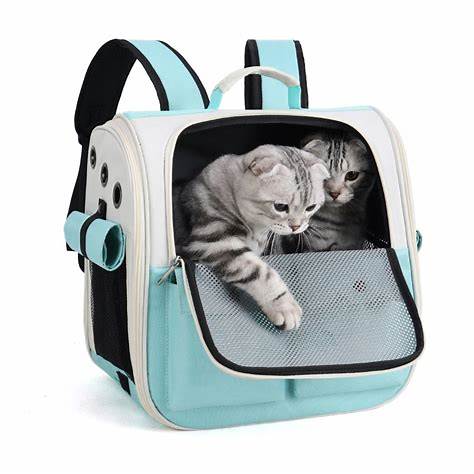 maleta para trasporte mascota